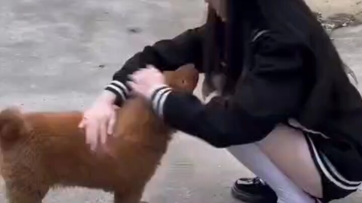 Found a Little Cutie!