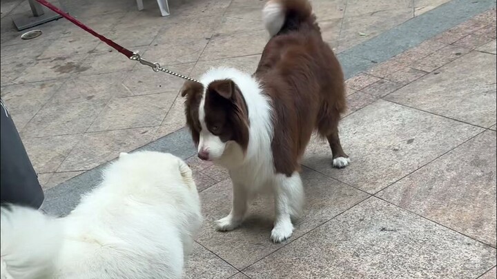 ไม่โดนด่าสักวันก็อึดอัด โดนด่าแล้วก็อึดอัดไปทั้งวัน