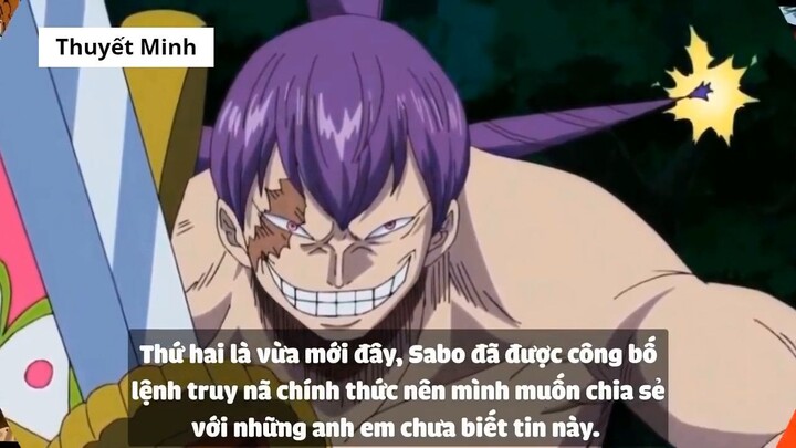 Top 6 Lệnh Truy Nã Mới Nhất Trong One Piece 2018 p1