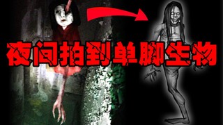 【独腿生物】夜间碰见它赶紧跑，千万不能惹的生物