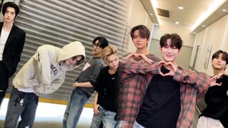 ENHYPEN Dòng Bking VS Dòng chị em! TikTok: 1, 2, 3 Đi nào😎/Hình như mình mê mẩn…🧡
