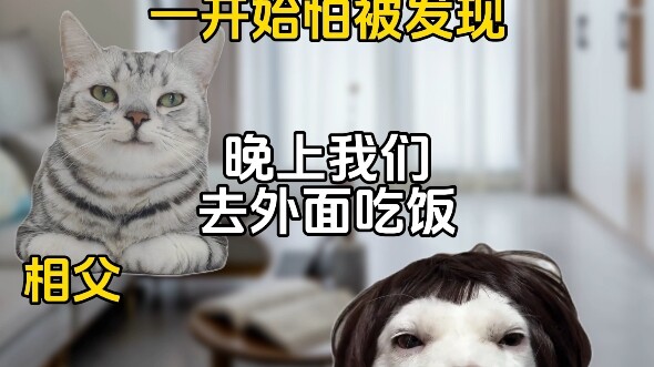 หลิวซานคิดว่าตัวเองไร้ที่ติ #ละครมีมเล็กๆ#วัยเด็ก#ข้ามเวลา#แมวน้อยน่ารัก#วัยเด็กที่กลับไปไม่ได้