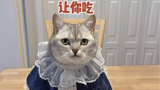 เมื่อฉันกินหัวเป็ดต่อหน้าแมว ผลลัพธ์คือ?!