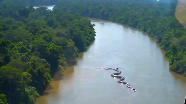 Is this place dangerous?