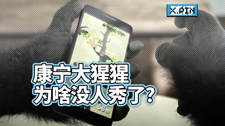 ทำไมในงานเปิดตัวสมาร์ทโฟนจีนถึงไม่เห็นแบรนด์ Corning Gorilla Glass อีกแล้ว?