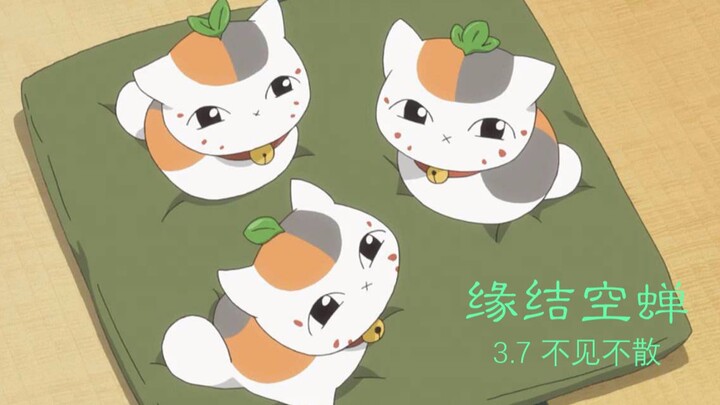 十年夏目六季混剪 | 三月七日邂逅温暖 | 贺夏目友人帐剧场版缘结空蝉内地上映 | 治愈催泪向微踩点