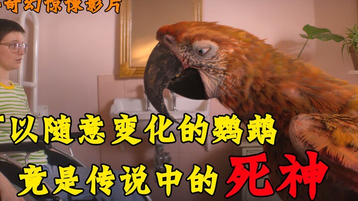 This quirky parrot turns out to be a BLEACH incarnation!