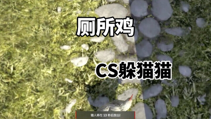 CS2 Hide-and-Seek: A Much-Needed Help in the Snow