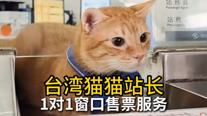 Di Taiwan, hewan mulai menggantikan manusia untuk bekerja