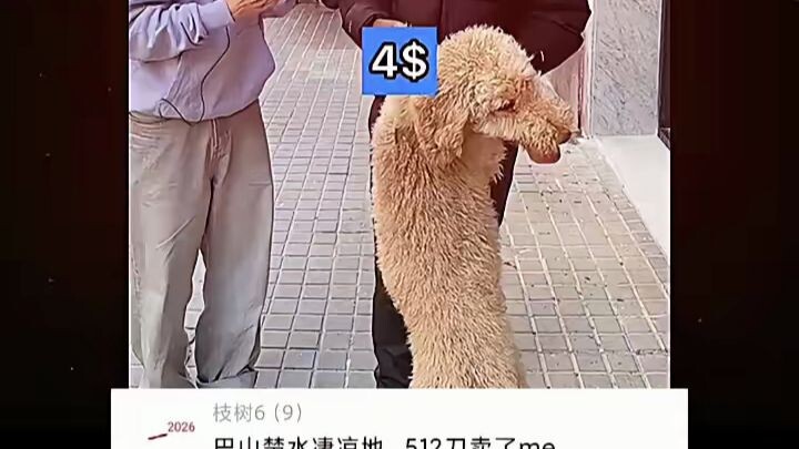 The desolate lands of Bashan and Chushui—sold my me for 512 yuan.