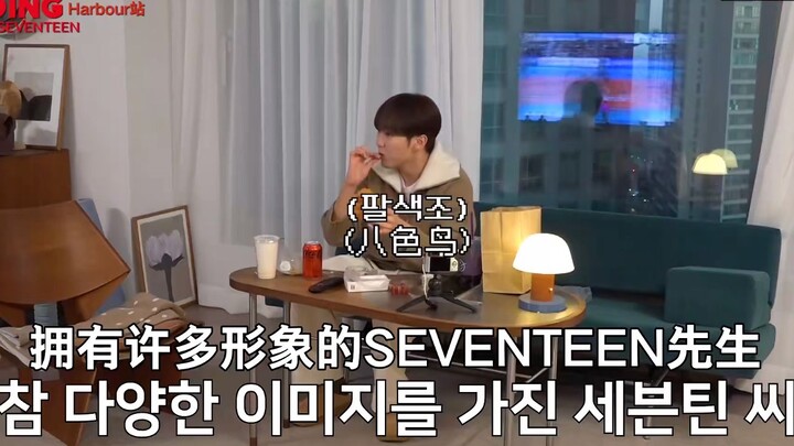 【SEVENTEEN】ตั้งแต่ไม่มีความมีระเบียบวินัย ชีวิตก็ราบรื่นขึ้นเยอะ #1