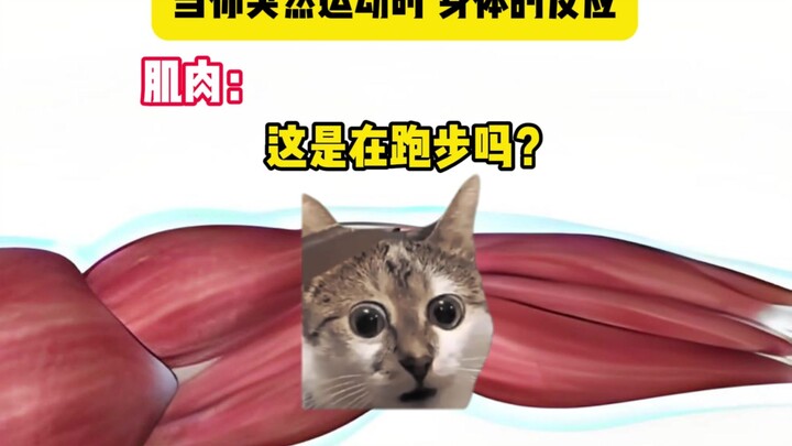 Reaksi tubuh saat kamu tiba-tiba berolahraga