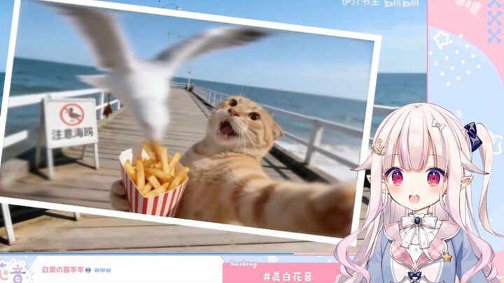 Japanese Lolita Cries While Watching “Journey of the Elderly”