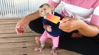 Adorable Little Baby Maki Stand Eating Ice Cream Very Delicious