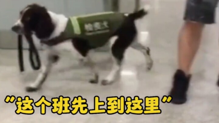 هذا الدرس يكفي إلى هنا.