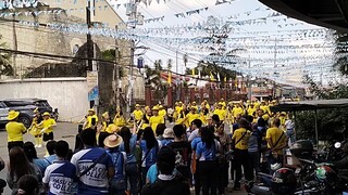pintados
