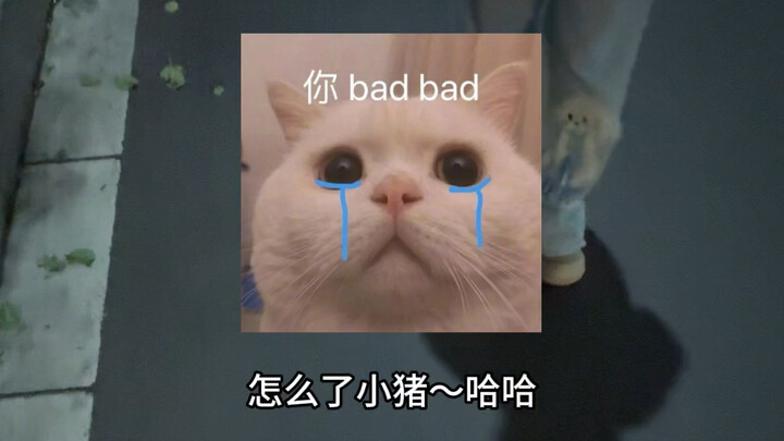 姐姐又来骗小孩了哈哈