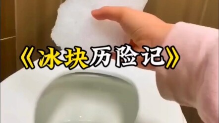 冰块历险记 只为沙漠中的仙人掌没见过冰 #老外真会玩 #冰块 #有趣