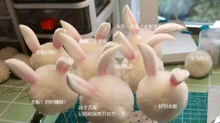 [Lụa tơ tằm hoa] Cảm giác nhập vai quá mạnh, đã bắt đầu muốn chuồn rồi.