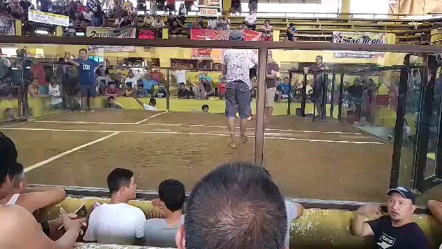 2hits sa darasa batangas 1st fight  ang pang pitong panalo