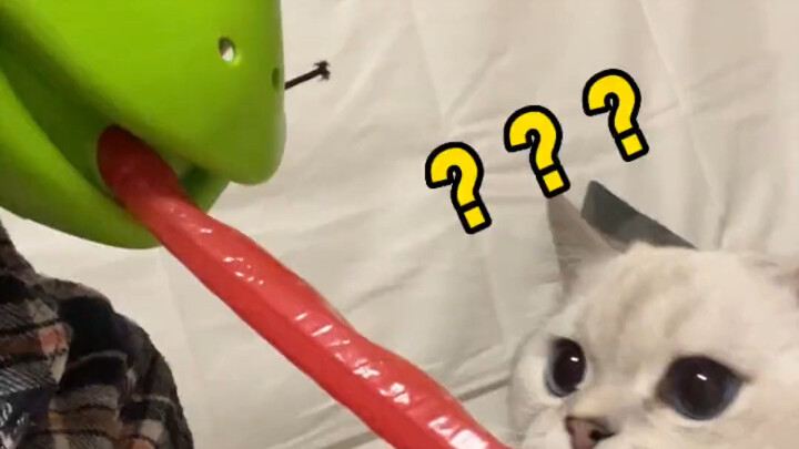 Cute Little Toys That Have Me Hooked