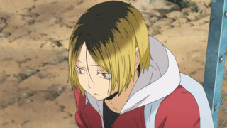【排球少年】猫猫可爱捏～