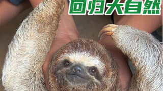 送闪电回归大自然