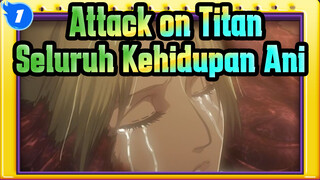 [Attack on Titan] Seluruh Kehidupan Ani --- Jangan Pernah Kembali ke Rumah_1