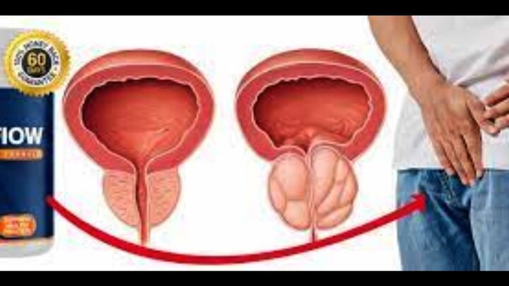 Actiflow Prostate Formula To Support Lasting Prostate Health