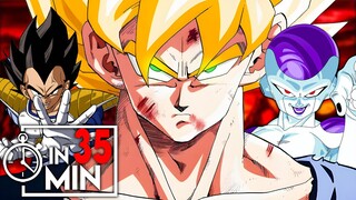 DRAGON BALL Z 'FRIEZA SAGA' IN 35 MINUTEN