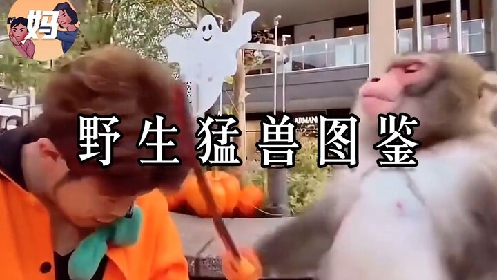 【Lukisan Spesies Manusia Liar】Hewan buas liar, sudah bisa diatasi!