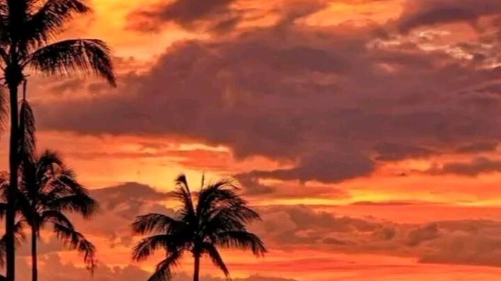 🌅🌅🌅🌅🌅🌅🌅