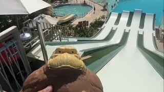 我让你飞起来！