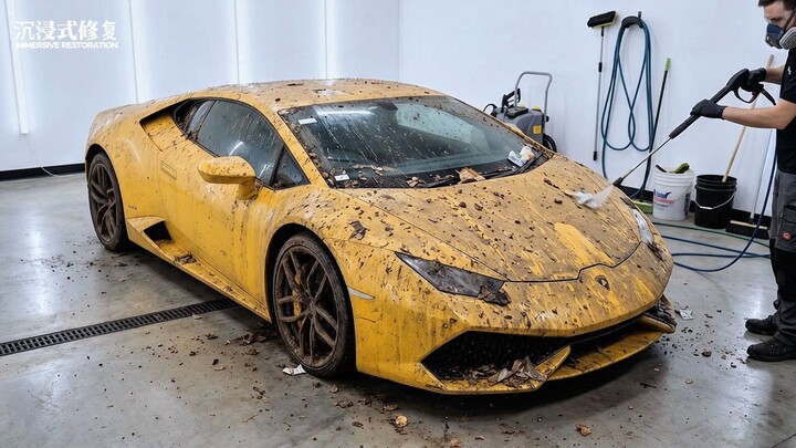 Lamborghini, Aston Martin & Porsche 911 This Dirty?! The Clean-Up Is So Satisfying!