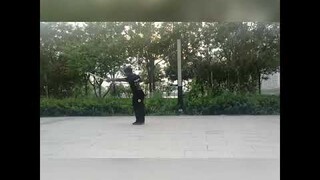 We continue practicing.san jie gun by yan qing shifu.
