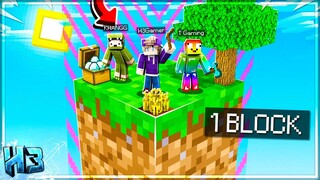 H3 Cùng T Gaming Thử Thách SINH TỒN TRÊN 1 BLOCK *Mở Rộng Đảo và Chăn Nuôi | tập 2 - OneBlock