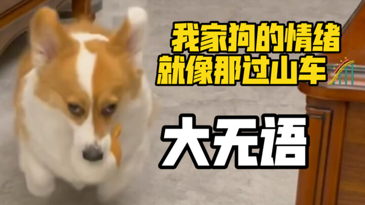 Xiao Bei: My mind is totally blown!!!