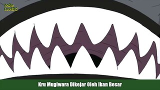 Kru Mugiwara Dikejar Oleh Ikan Besar