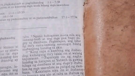 Pang Araw Araw na Talata.     Leviticus 1:10-13.