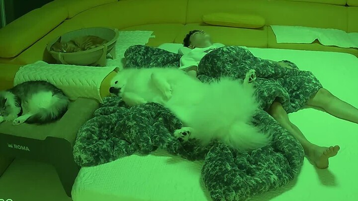 A family should sleep “all nice and tidy” together...