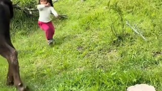 الحيوانات والأصدقاء الطيبون ليسوا سيئين أيضًا، أليس كذلك؟