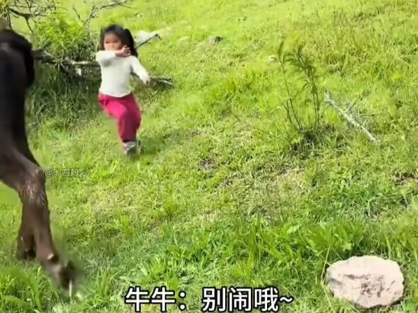 الحيوانات والأصدقاء الطيبون ليسوا سيئين أيضًا، أليس كذلك؟