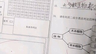 《至于我在试卷上画上了小电视这件事》