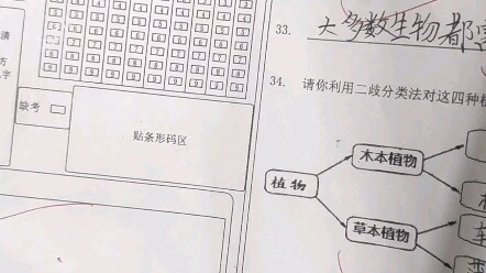 《至于我在试卷上画上了小电视这件事》