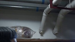 Hãy làm điều đó đi! Cho tôi thử thách "Cung tên hoa sen đỏ" nhé!