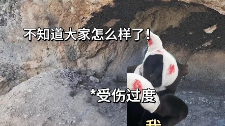 “Better to be a Chinese ghost than a wandering soul abroad”—after 9 days and 8 nights of crawling, I