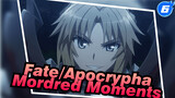 Fate/Apocrypha Cut | Mordred Moments Cut_F6