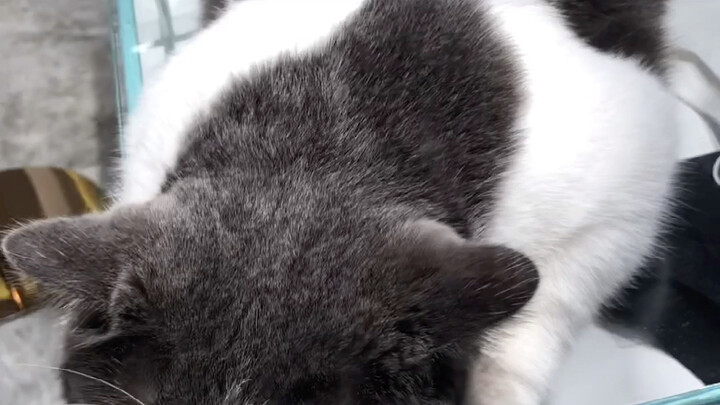 It’s such a shame not to cup this back!