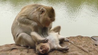 Awesome Female Carbzilla Massage For Poor Baby Patty Near The Lake, She Really Like Patty&Lola