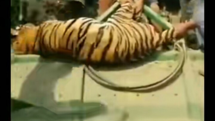 【Tambahan】Komandan, aku belum selesai sama kamu, tunggu saja!